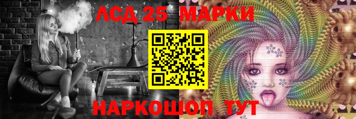 LSD-25 экстази  Вход с VPN  Новозыбков  ЛСД экстази кислота  LSD-25 экстази кислота 