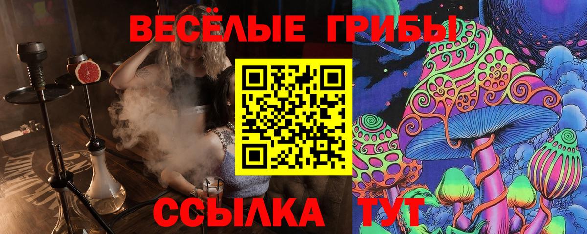 Галлюциногенные грибы мицелий  Вход с VPN  что такое   Псилоцибиновые грибы Cubensis  Новозыбков 