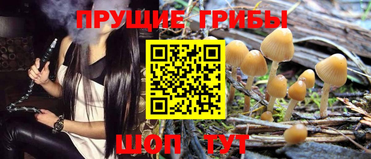 ГАШ  Новозыбков  Меф МЯУ МЯУ   КОКАИН  Вход с VPN  Канабис 